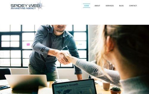 Spidey Web Marketing Agency